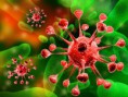 /album/galeria-de-fotos-biomedicina-total/photo4-jpg/